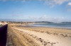 Jersey - St. Aubin's bay: looking East near Goose Green Marsh