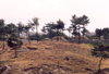 Democratic People's Republic of Korea - DPRK / Kaesong: cemetery (photo by M.Torres)