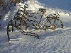 Latvia - Jaunmokas: bike in the snow - farm next to the castle (Tumes pagasts, Tukuma Rajons - Zemgale) - photo by A.Dnieprowsky