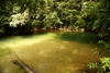 Gunung Mulu National Park, Sarawak, Borneo, Malaysia: crystal-clear natural pool near Clearwater Cave - photo by A.Ferrari