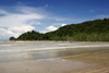 Bako National Park, Sarawak, Borneo, Malaysia: mangrove forest along the coast at Telok Assam - photo by A.Ferrari