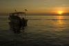 Pulau Mabul, Sabah, Borneo, Malaysia: diveboat moored up at sunset - photo by S.Egeberg