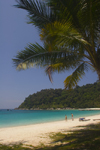 Perhentian Island, Terengganu, Malaysia: Perhentian Island Resort - Teluk Pauh - PIR - people on white sandy beach and palm tree - photo by S.Egeberg