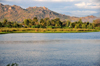 Mangochi, Malawi: east bank of the River Shire, 7 km north of lake Malombe - the Shire is an outlet of Lake Malawi and flows into the Zambezi - photo by M.Torres