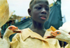 Djenn, Mopti Region, Mali: duck seller at the monday market - photo by N.Cabana