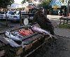 Mauritius - Grand Baie: fishmonger at the market