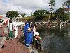 Mauritius - Grand Bassin / Ganga Talao: offerings at the Hindu sacred lake - volcanic lake - photo by A.Dnieprowsky