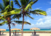 Dzaoudzi, Petite-Terre, Mayotte: beach parasols and coconut trees - Far beach - Boulevard des Crabes - photo by M.Torres