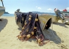 Mexico - Acapulco de Juarez / ACA (Guerrero state): fishing net on boat (photo by Andrew Walkinshaw)