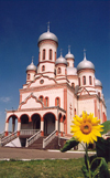 Moldova / Moldavia - Drochia: church and sunflower - Cathedral of the 'Adormirea Maicii Domnului' - photo by M.Torres