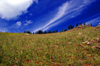 Gorkhi-Terelj National Park, Tov aimag(Central province), Mongolia: Alpine meadows - photo by A.Ferrari