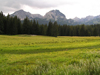 Montenegro - Crna Gora - Durmitor national park: edge of the forest - photo by J.Kaman