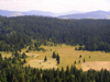 Montenegro - Crna Gora - Durmitor national park: glade - photo by J.Kaman