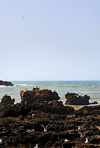 Morocco - Essaouira: port - rucks, gulls and the Atlantic - photo by M.Ricci