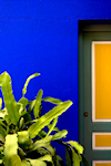 Morocco - Marrakech: Jardin Majorelle - cobalt blue wall - Majorelle bleu - photo by M.Ricci