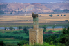 Morocco / Maroc - Rabat / RBA: Chellah necropolis - storks nesting - photo by Marta Zaraska