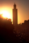 Morocco / Maroc - Marrakesh / Marrakech / Marraquexe: magnificent minaret of the Koutoubia mosque at sunset - silhouete of minaret - Unesco world heritage site - photo by F.Rigaud