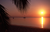 Mozambique / Moambique - Benguerra island / ilha, Vilanculos District, Inhambane province: sunset on the beach - palm tree leaves / pr do sol na praia - photo by F.Rigaud