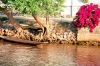 Myanmar / Burma - Inle Lake: boat and flowers (photo by J.Kaman)