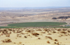 Namibia - Oranjemund: border between South Africa and Namibia - photo by J.Stroh