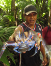 Niue: uga crab / coconut crab (Birgus latro) captured in the jungle near Mutalau village, held by the 'hunter' - photo by R.Eime