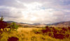 Nagorno Karabakh - Askeram: Caucasian landscape (photo by M.Torres)