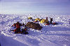 Arctic Ocean: camping on the way to the Pole (photo by Eric Philips)