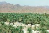 Oman - Al Hamra: the oasis and the mountains (photo by G.Frysinger)