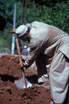 Pakistan - Murree Hills/Margalla Hills: Sweating it out! - Man unloading mud from a truck - photo by R.Zafar