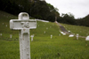 Panama Canal: French Cemetery - here are buried the remains of the workers that died during the french attempt to build the Panama Canal - photo by H.Olarte