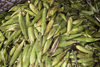 La Villa, Azuero, Los Santos province, Panama: corn cobs at El Ciruelo folk food place - photo by H.Olarte