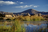 Lake Titicaca, Puno region, Peru: floating islands made entirely of reeds - Uros culture - photo by C.Lovell