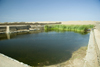 Chan Chan, Trujillo, La Libertad region, Peru: ruins of the ancient city of Chan Chan  pool at the Palacio Tschudi - Moche / Chimu civilization - largest Pre-Columbian city in South America - photo by D.Smith