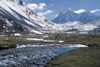 Ausangate massif, Cuzco region, Peru: the Jampamayo river and alpaca herd, below Senal Nevado Tres Picos - Auzangate trek- Peruvian Andes - photo by C.Lovell