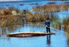 Lake Titicaca - Puno region, Peru: Uro boy on a totora reeds canoe - photo by J.Fekete