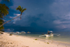 Alona Beach, Bohol island, Central Visayas, Philippines: leaning coconut tree and banca boat on the beach - photo by S.Egeberg