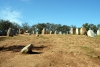 Portugal - Almendres - Guadalupe, Concelho de vora cromlech - menhirs / cromeleque - crculo de menires - photo by M.Durruti