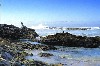 Portugal - Algarve - Torre de Aspa (concelho de Vila do Bispo): pescando das rochas - Praia da Cordama - photo by T.Purbrook