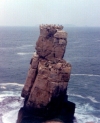 Portugal - Cape Carvoeiro (Concelho de Peniche): Atlantic rest area / area de repouso no Atlntico - photo by M.Durruti