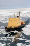 Russia - Bering Strait (Chukotka AOk): Kapitan Khlebnikov in the ice of the Chukchi Sea, Arctic Ocean (photo by R.Eime)