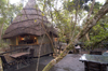 South Africa - Phantom Forest Lodge, Knysna - photo by B.Cain