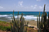 St Jean: eastern part of the beach (photo by Bernard Cloutier)