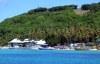 Mustique island (Grenadines): forest above the beach (photographer: R.Ziff)