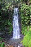 So Nicolau waterfall / cascata So Nicolau, M-Zchi district, So Tom and Prncipe / STP: waterfall surrounded by lush vegetation / cascata rodeada de vegetao luxuriante - photo by M.Torres