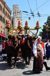 Cagliari, Sardinia / Sardegna / Sardigna: Feast of Sant'Efisio / Sagra di Sant'Efisio - the saint an the oxen reach the Palazzo Vivanet - Via Roma - the most important religious festival of Sardinia - photo by M.Torres