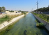 Al-Ahsa Oasis, Al-Hofuf, Al-Ahsa Governorate, Eastern Province, Saudi Arabia: irrigation canal and date palm groves - Cultural Landscape of Al-Hasa Oasis, UNESCO World Heritage site - photo by M.Torres