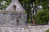 Scotland - Islay Island - ruins of Kildalton chapel - photo by C.McEachern