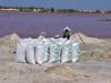 Sngal - lac Retba / lac Rose: sacs de sel - photographie par G.Frysinger