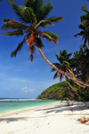 Mahe, Seychelles: Anse Baleine - perfect, yet empty beach - photo by M.Torres