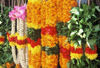 Singapore: flower garlands (photo by S.Lovegrove / Picture Tasmania)